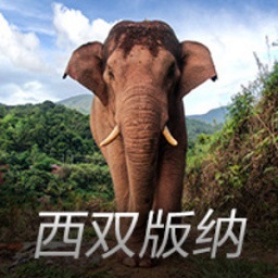 双双婚内偷情被锤，他们却官宣不会分开…